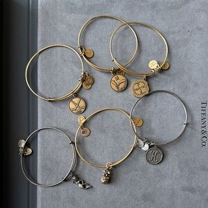 Bundle of Alex and Ani Charm Bracelets Gift Set Layering Stackable